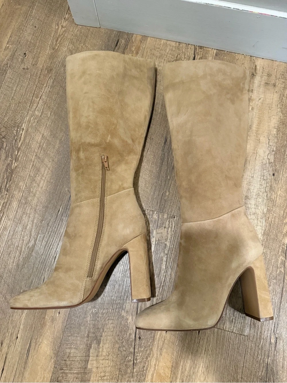 Steve Madden elevate your